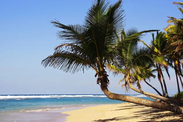 https://vsantabarbara.com/viajes/assets/upload/d2298.webp