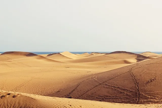 https://vsantabarbara.com/viajes/assets/upload/d31.webp